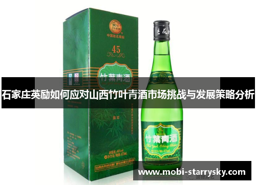 石家庄英励如何应对山西竹叶青酒市场挑战与发展策略分析