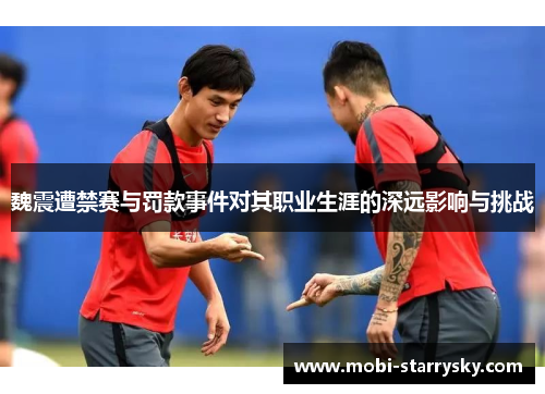 魏震遭禁赛与罚款事件对其职业生涯的深远影响与挑战