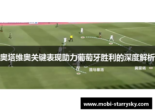 奥塔维奥关键表现助力葡萄牙胜利的深度解析