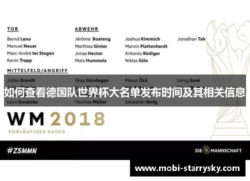 如何查看德国队世界杯大名单发布时间及其相关信息