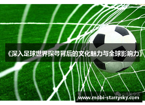 《深入足球世界探寻背后的文化魅力与全球影响力》