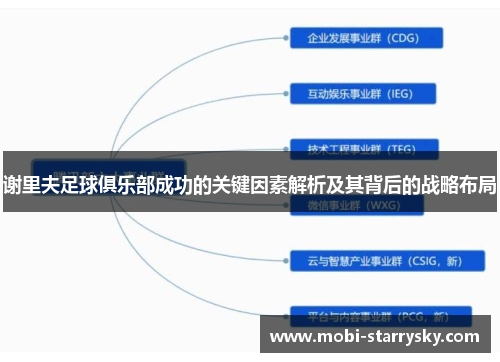 谢里夫足球俱乐部成功的关键因素解析及其背后的战略布局